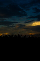 Naklejka premium Wonderful Sunset in village side