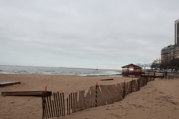 Beach in Chicago