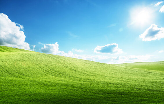 field of grass and perfect blue sky