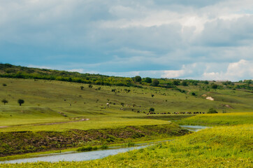 Fototapeta na wymiar River side landscape with green fields and blue sky in a rural Moldovan setting