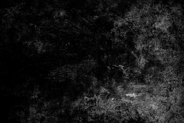 Naklejka na ściany i meble Black & white texture background dark or old grunge background with black. - Image