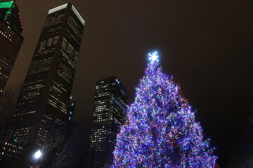 Lit up tree in Chicago