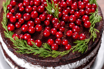 Beautiful delicious cake with bright red berries on the Christmas table