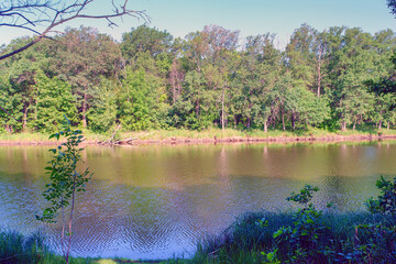 Calm forest lake on a quiet Sunny day. Summer landscape. Soft focus