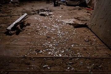 Small fragments of broken glass on a dirty wooden brown floor
