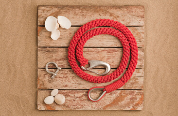 Seashell and red rope on a light wooden background, copyspace