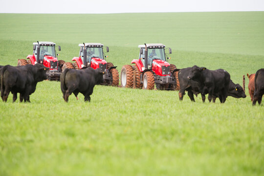 agriculture