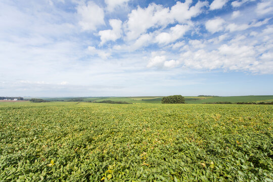 agriculture