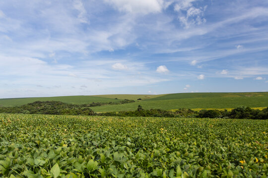 agriculture