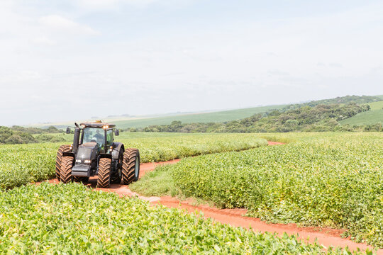 agriculture