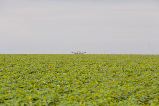 agriculture