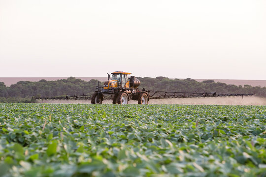agriculture
