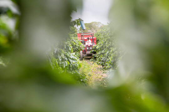 agriculture