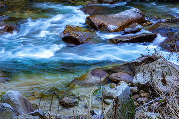 Stream in the forest