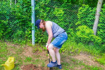 Work in the garden. Woman digs a hole for planting spruce seedlings in the garden