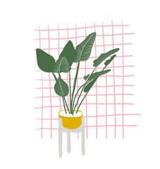 banana plant vector illustration. hand drawn sketch of house exotic potted plant