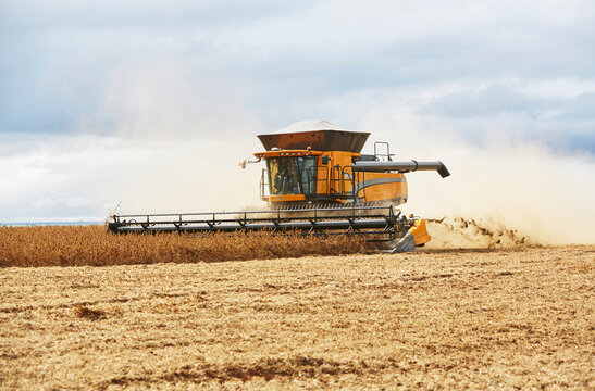 agriculture