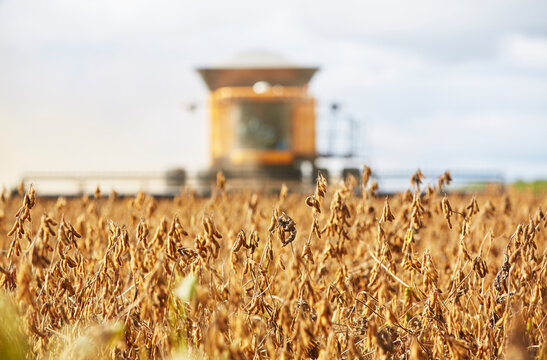 agriculture