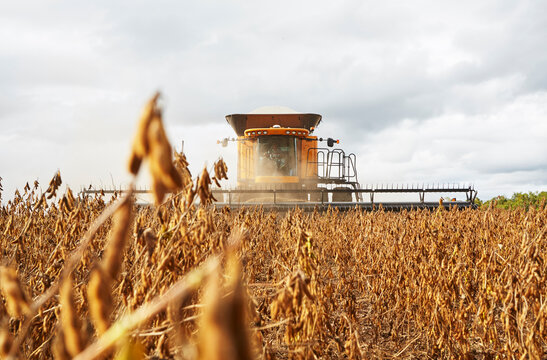 agriculture