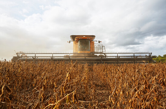 agriculture