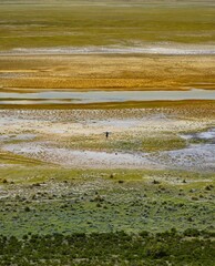 bolivia