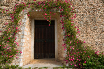 Fototapeta na wymiar portico colorato, con fiori, porta in legno, mattoni, verde, fiori rosa