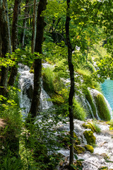 Waterfall in forest, Plitvice Lakes, Croatia