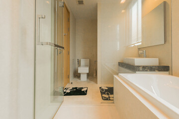 Luxury bathroom toilet bowl and bathtub , vintage color tone style