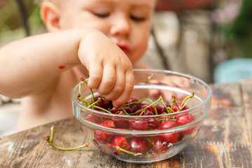 Cute happy boy taking sweet cherry from the plate, outdoor in garden