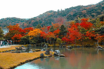 Japanese autumn garden and pond with mountain background during autumn season. Japanese autumn garden is popular travel destinations.