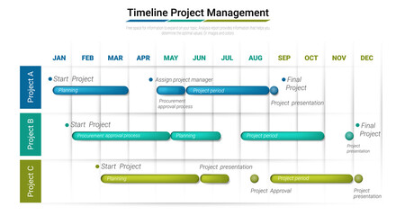 Fototapeta na wymiar Project timeline graph for 12 months, 1 year, All month planner design and Presentation business project.
