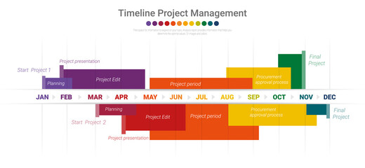 Project timeline graph for 12 months, 1 year, All month planner design and Presentation business project.