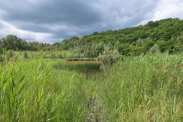 Obraz premium Landscape photo of nature in Steendorp a village in East Flanders in Belgium