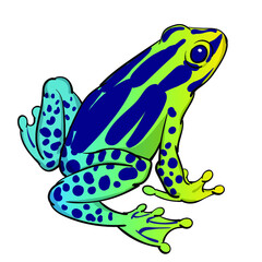 Hand drawn vector of tree frog isolated on white background. Original stock illustration of amphibian.