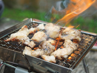 登山でBBQ・黒毛和牛焼肉（ホルモン）