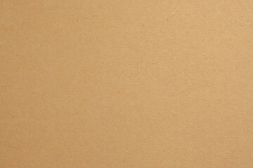 Texture of brown craft or kraft paper background, cardboard sheet, recycle paper, copy space for text.
