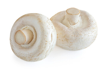 Fototapeta na wymiar Fresh champignon mushrooms isolated on white background. Two champignons close up