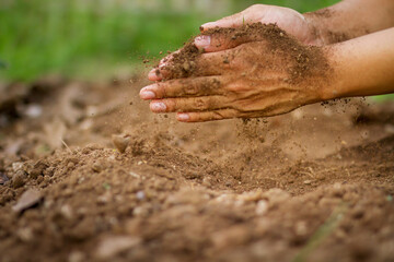 Farmer checking soil to prepare grow vegetable in the garden