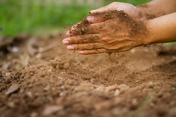 Fototapeta na wymiar Farmer checking soil to prepare grow vegetable in the garden