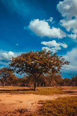 Wayy desert and sky