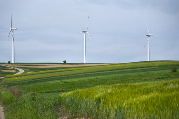 Krajobraz rolniczy z wiatrakami energetycznymi © JDziedzic