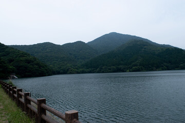 Fototapeta premium 下関、深坂の森ため池
