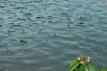 下関、深坂の森ため池