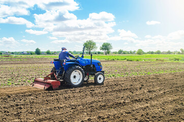 Obraz premium A farmer on a tractor mills the soil with a milling machine equipment. Grinding loosening soil, removing plants and roots from last harvest. Growing vegetables. Ground crumbling and mixing.
