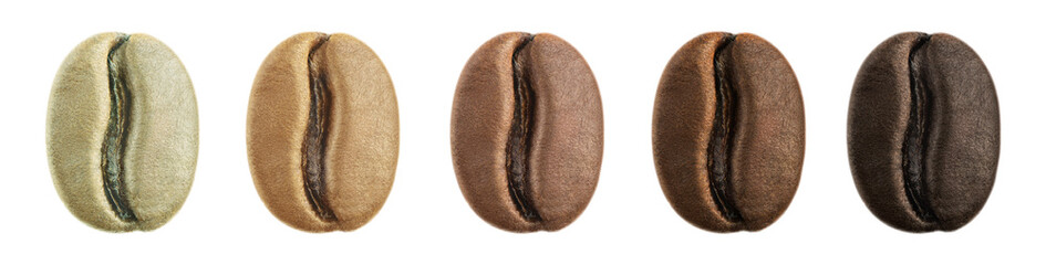 Stages of roasting coffee beans isolated
