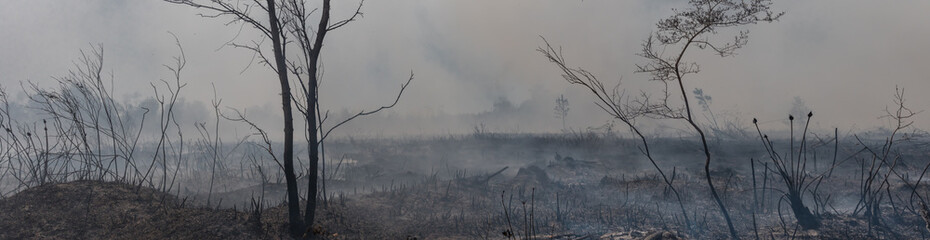 High Resolution large panoramic image of the remnants of a grass fire in southern Georgia, USA
