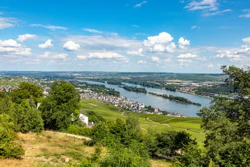 Foto op Canvas aerial view to scenic vineyards in Ruedesheim © travelview