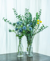 Interieurtrend Minimalismus, dekorative Glasvasen mit Eukalyptus, Craspedia und Distel -...