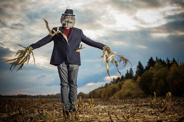 scarecrow stands in the autumn field against the evening sky - obrazy, fototapety, plakaty