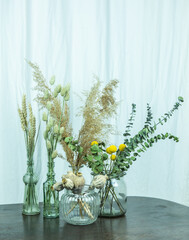 Interieurtrend Minimalismus, dekorative Glasvasen mit Eukalyptus, Craspedia, Mohnkapseln, Phalaris...